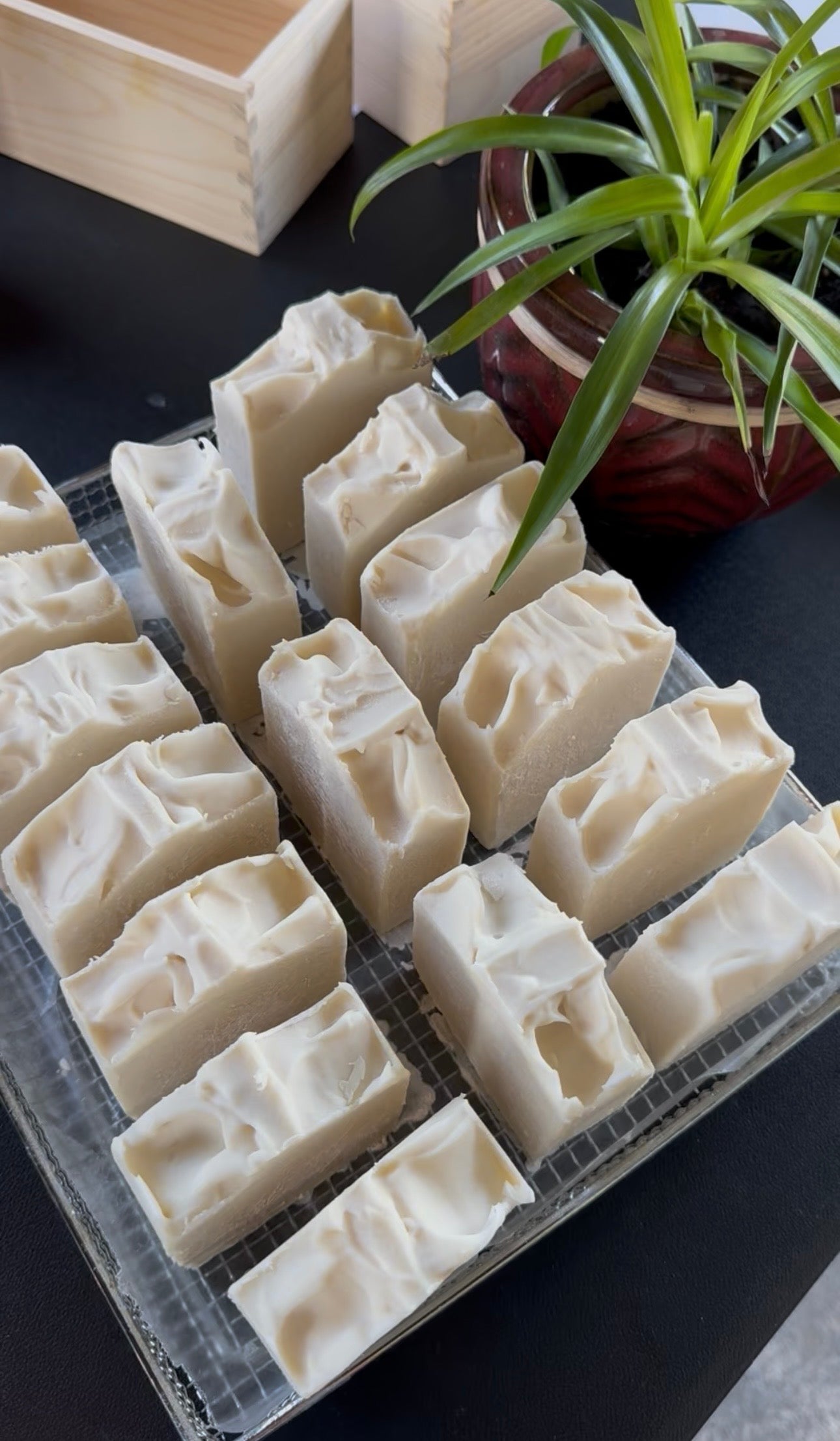 Unscented Goat Milk Soap
